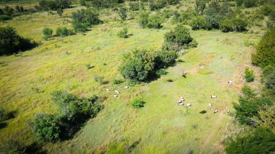 6 Bedroom Property for Sale in Hartbeespoort North West